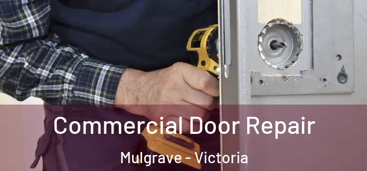 Commercial Door Repair Mulgrave - Victoria