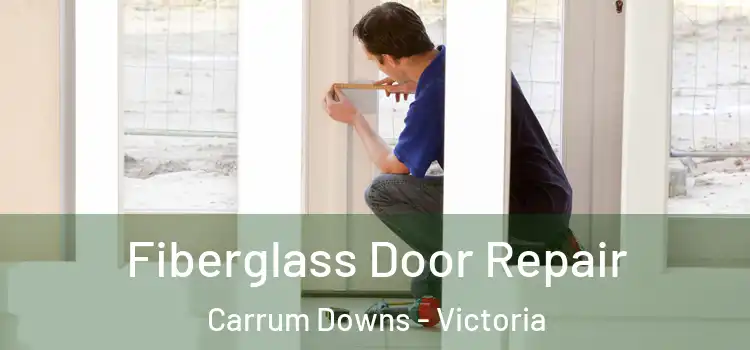 Fiberglass Door Repair Carrum Downs - Victoria