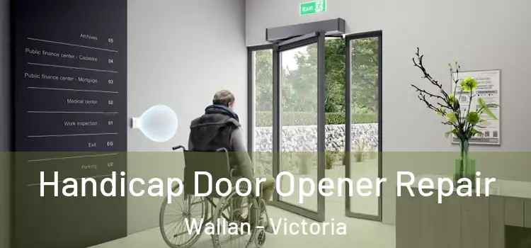 Handicap Door Opener Repair Wallan - Victoria