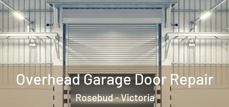 Overhead Garage Door Repair Rosebud - Victoria