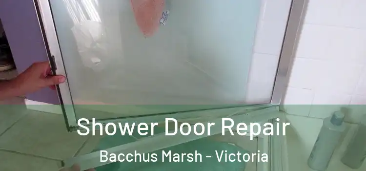 Shower Door Repair Bacchus Marsh - Victoria