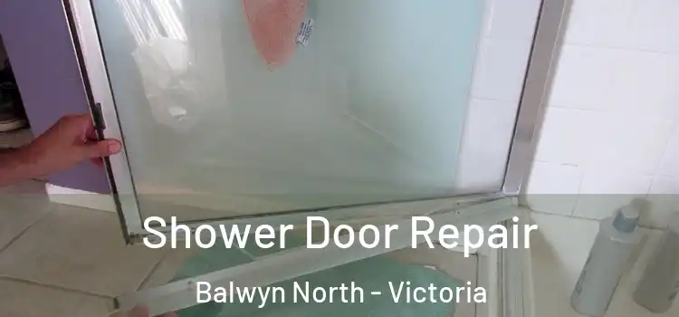 Shower Door Repair Balwyn North - Victoria