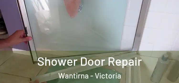 Shower Door Repair Wantirna - Victoria