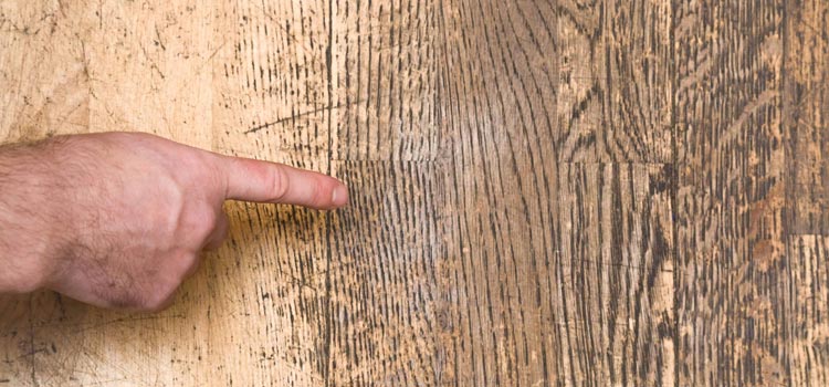 Wood Door Scratch Repair in Camberwell, VIC